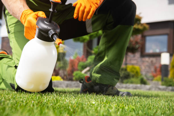 Best Pest Prevention Services  in Sauk Vlage, IL