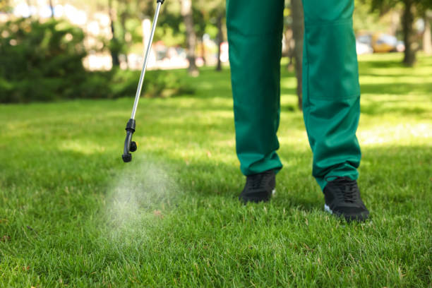 Pest Control Cost in Sauk Village, IL