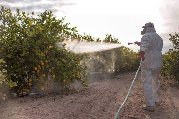 Best Exterminator Services  in Sauk Vlage, IL