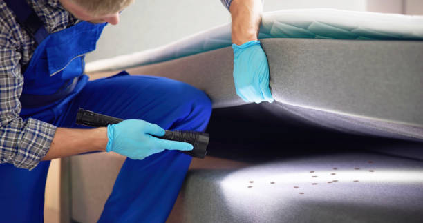 Best Cockroach Control Services  in Sauk Vlage, IL