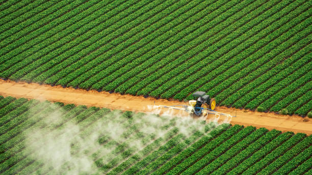 Best Commercial Pest Control Services  in Sauk Vlage, IL