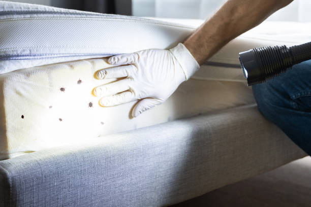 Best Emergency Pest Control  in Sauk Vlage, IL