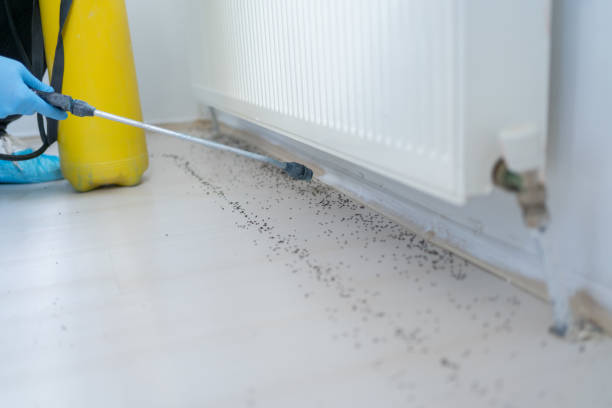 Best Bed Bug Extermination  in Sauk Vlage, IL