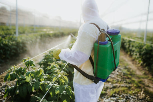 Best Best Pest Control Companies  in Sauk Vlage, IL